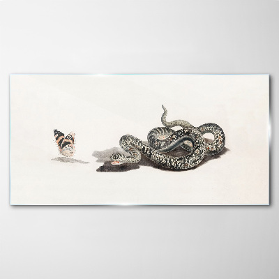 Obraz na skle Kreslení zvířecí had motýl
