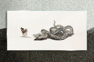 Obraz na skle Kreslení zvířecí had motýl