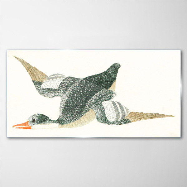 Obraz na skle Kreslení zvířat pták kachna