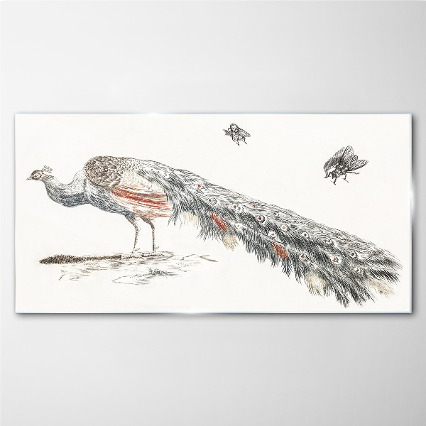 Obraz na skle Zvířecí pták páv mouchy