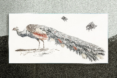 Obraz na skle Zvířecí pták páv mouchy