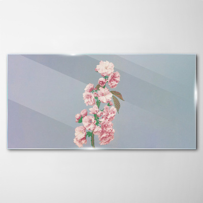 Obraz na skle Květiny rostlin