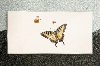 Obraz na skle Moderní bug hmyz motýl