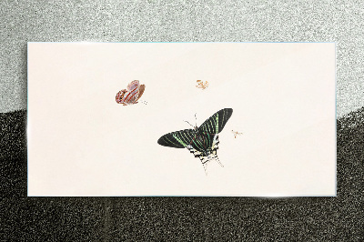 Obraz na skle Moderní bug hmyz motýl