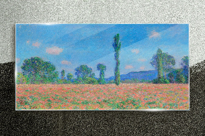 Obraz na skle Louky Monetová krajina