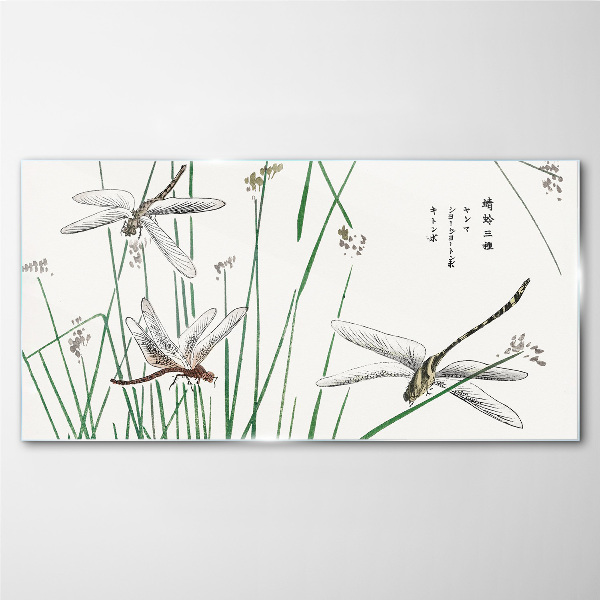 Obraz na skle Moderní hmyz