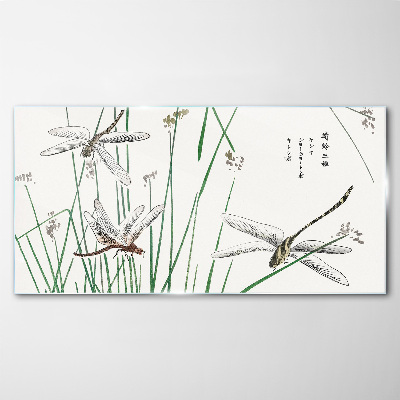 Obraz na skle Moderní hmyz