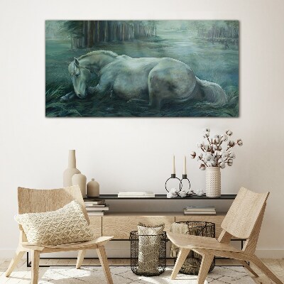 Obraz na skle Lesní koně volně žijících živočichů