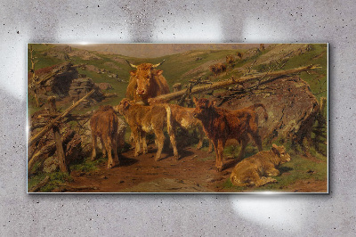 Obraz na skle Krajina krávy zvířat