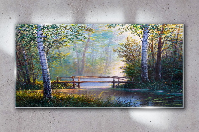 Obraz na skle Lesní říční most příroda