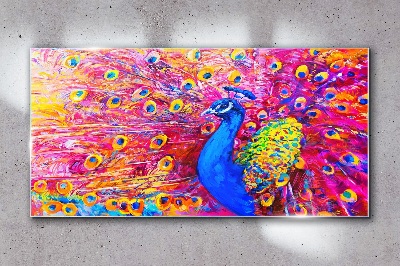 Obraz na skle Zvířecí pták páv peří
