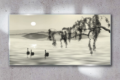 Obraz na skle Jezero strom zvířecí pták