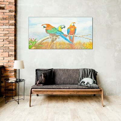 Obraz na skle Zvířecí ptáci papoušek mraky