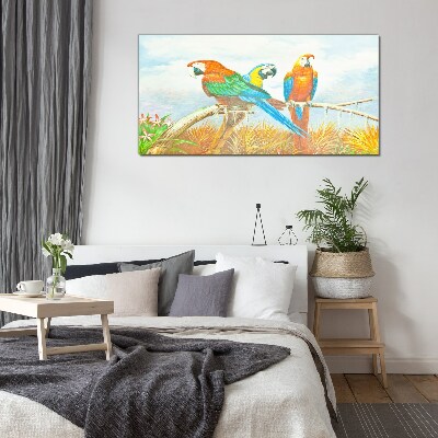 Obraz na skle Zvířecí ptáci papoušek mraky