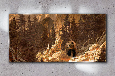 Obraz na skle Lesní medvěd hor divoké zvěře