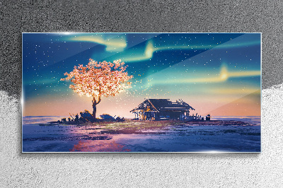 Obraz na skle Abstrakce strom sky noc
