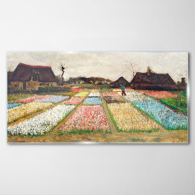 Obraz na skle Jarní tulipánová pole