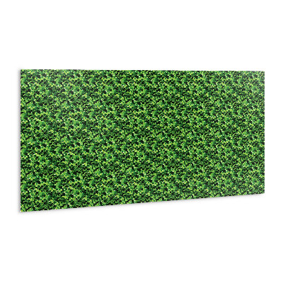 Obkladový panel do interiéru Listy zeleného salátu