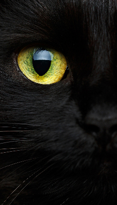 Roleta na balkonové dveře Kočičí oči