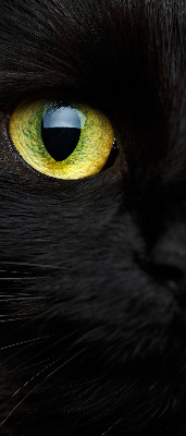 Roleta na balkonové dveře Kočičí oči