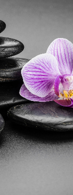 Roleta na okno Orchidej na kamenech