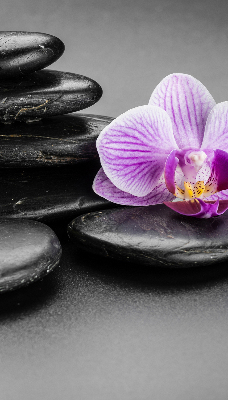 Roleta na okno Orchidej na kamenech