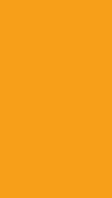 Roleta do okna Tmavě oranžová