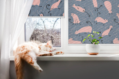 Vnitřní roleta do okna Růžové kočky
