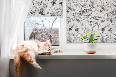 Roleta do okna Nakreslené kočky