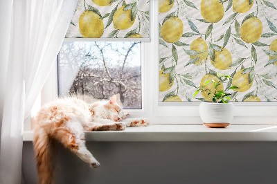 Roleta do okna Citrony