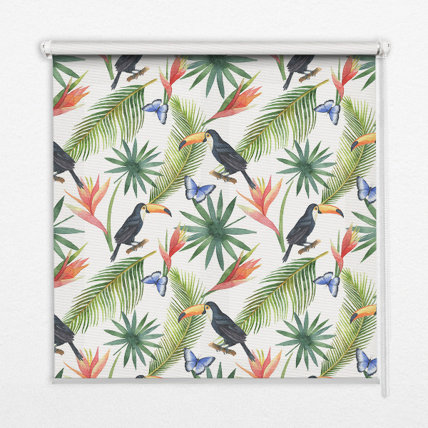 Roleta do okna Toucan on flowers