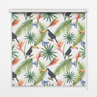 Roleta do okna Toucan on flowers