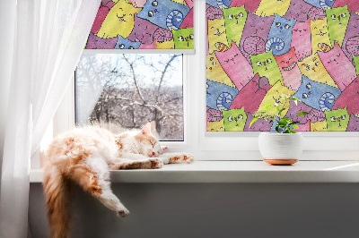Roleta do okna Barevné kočky