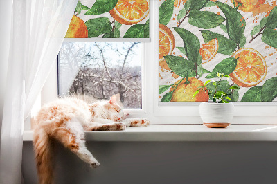 Roleta do okna Pomeranče a listy