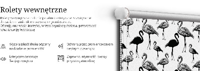 Stahovací roleta Černí plameňáci