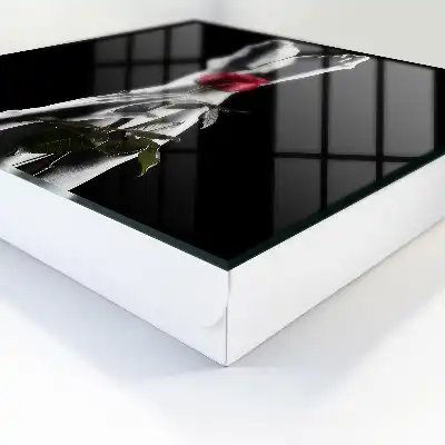 Elegance růže v bílé a červené barvě