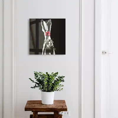 Elegance růže v bílé a červené barvě