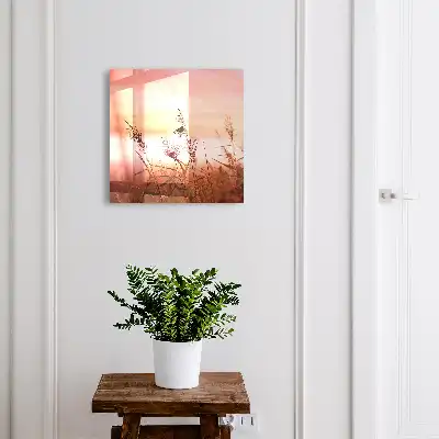 Trávy za úsvitu v pastelových odstínech