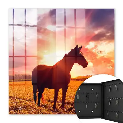 Kůň v zapadajícím slunci