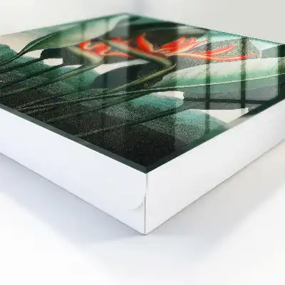 Exotika přírody v šťavnatých barvách