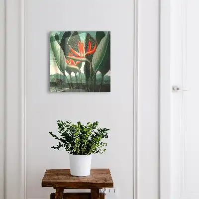 Exotika přírody v šťavnatých barvách