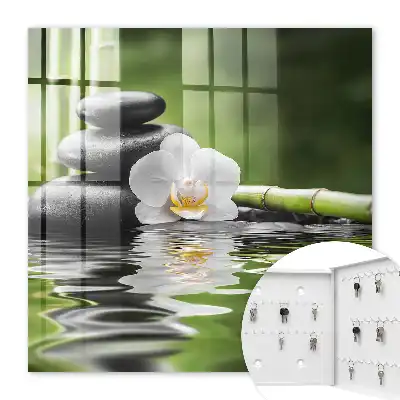 Orchidejové zenové kameny ve vodě