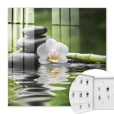 Orchidejové zenové kameny ve vodě