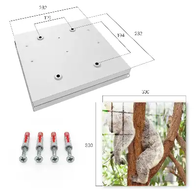 Koala relaxuje v přírodním prostředí