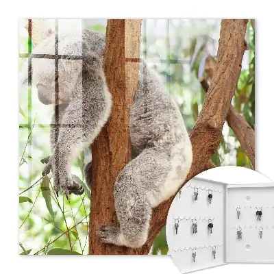 Koala relaxuje v přírodním prostředí