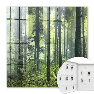 Zelený les slunce