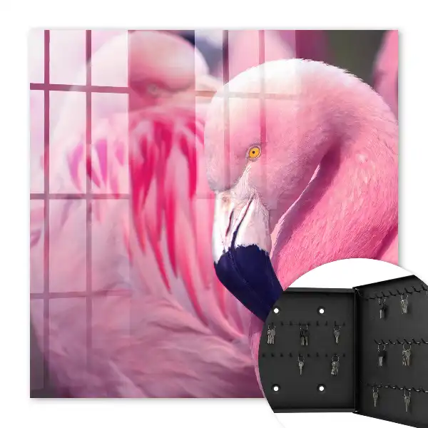Růžová kráska v měkkém světle