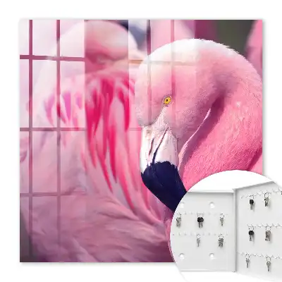 Růžová kráska v měkkém světle