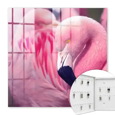 Růžová kráska v měkkém světle