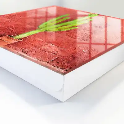 Zelený kaktus na červené zdi